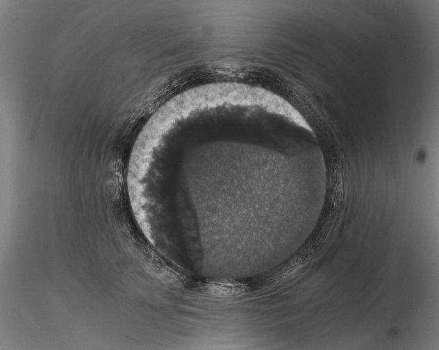 X0000114640707200912011048