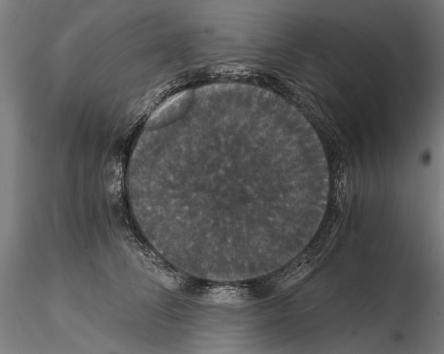 X0000114640708200912011048