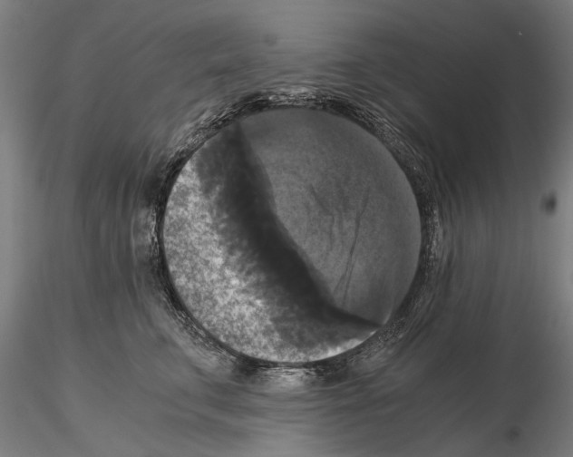 X0000114640711200912011048