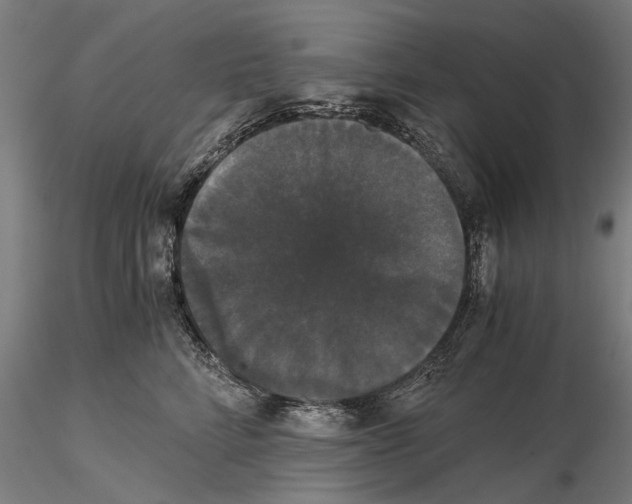 X0000114640712200912011048