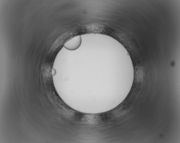 X0000114640713200912011048