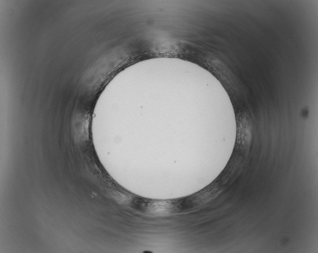 X0000114640717200912011048