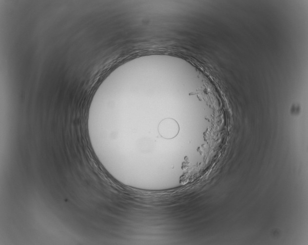 X0000114640720200912011048