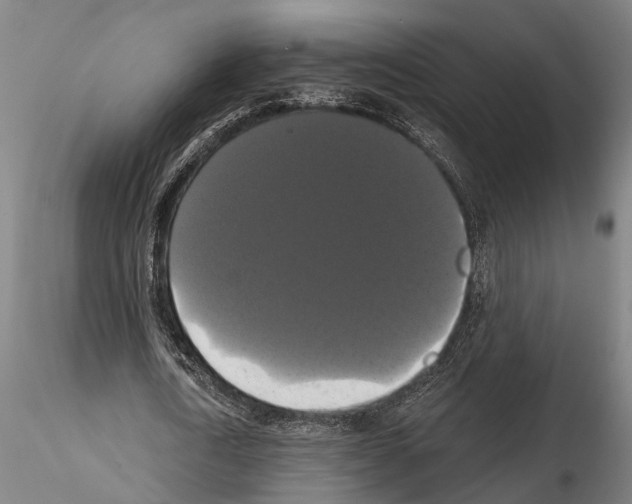 X0000114640722200912011048