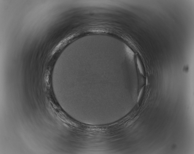 X0000114640723200912011048