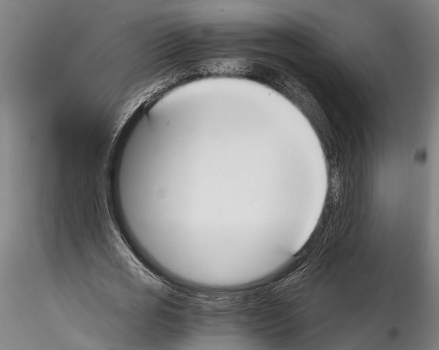 X0000114640725200912011048