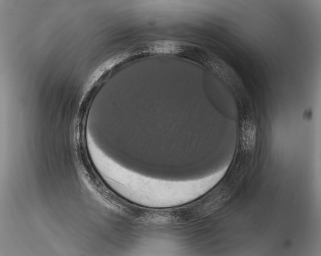 X0000114640726200912011048