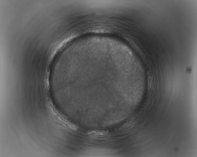 X0000114640727200912011048