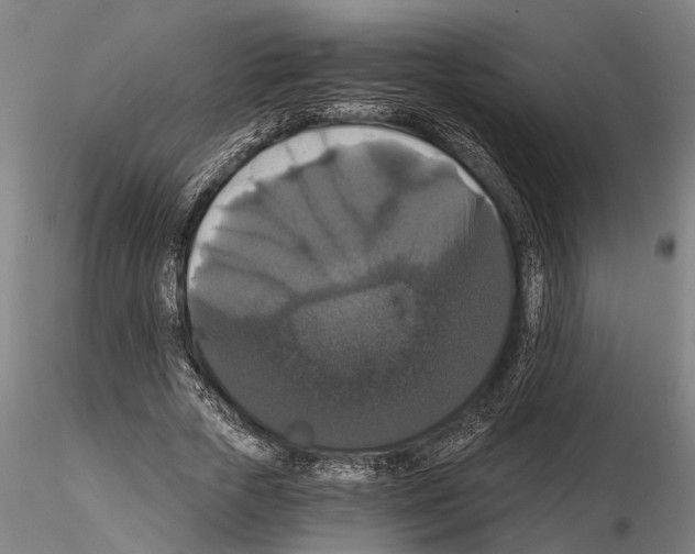 X0000114640729200912011048