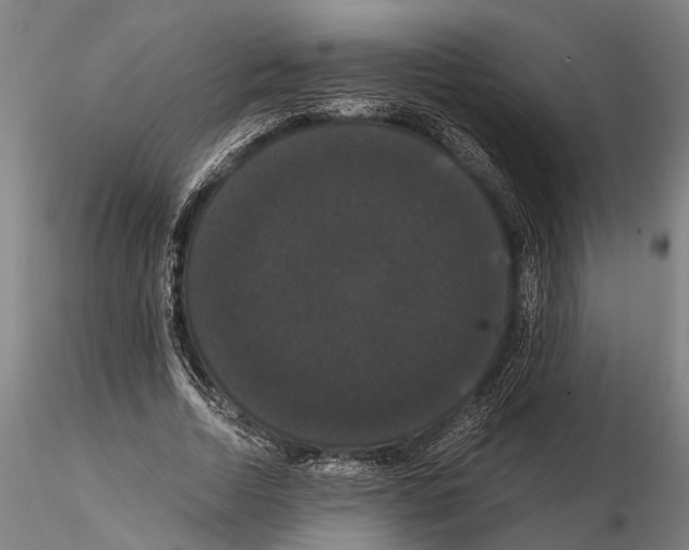 X0000114640730200912011048