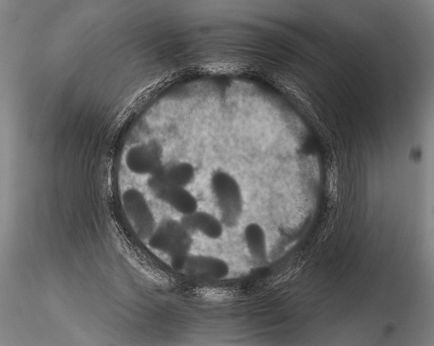 X0000114640733200912011048