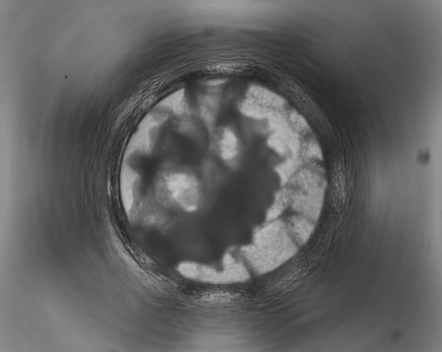 X0000114640734200912011048