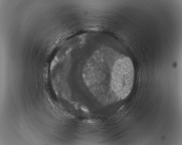 X0000114640739200912011048