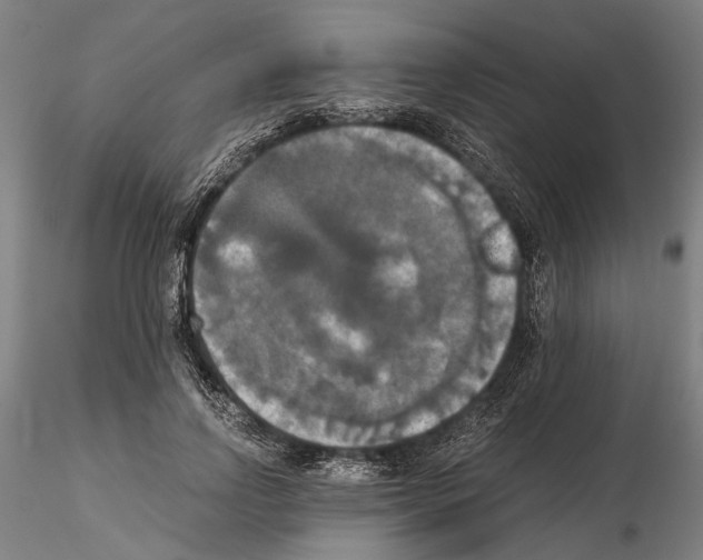 X0000114640742200912011048