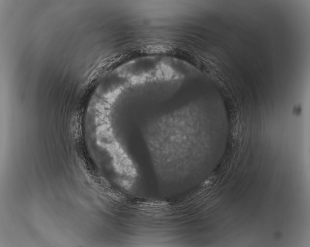 X0000114640743200912011048