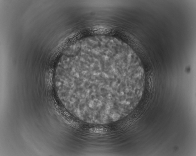 X0000114640745200912011048