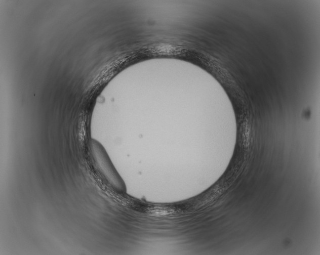 X0000114640746200912011048