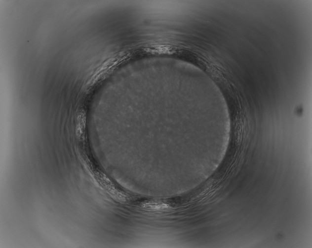 X0000114640747200912011048