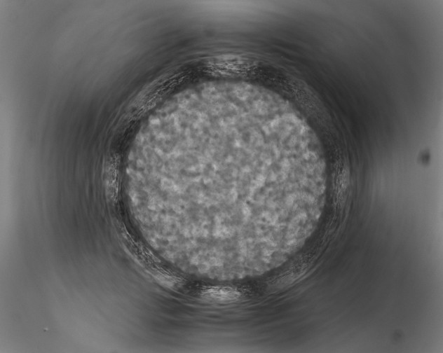 X0000114640749200912011048