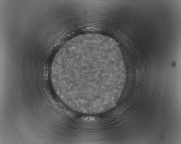 X0000114640751200912011048