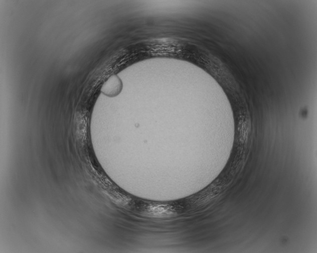 X0000114640753200912011048