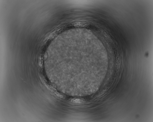 X0000114640755200912011048