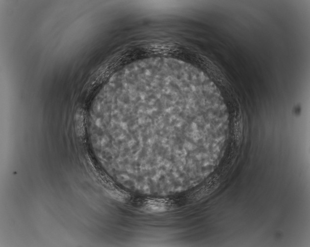 X0000114640757200912011048