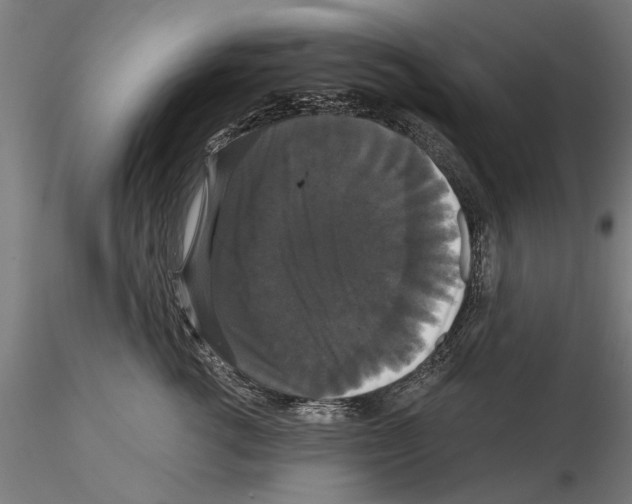 X0000114640762200912011048