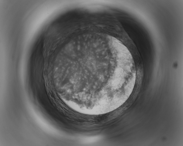 X0000114640765200912011048