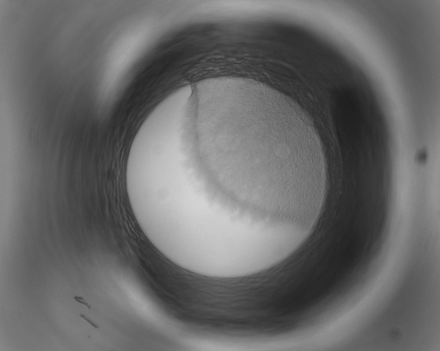 X0000114640766200912011048