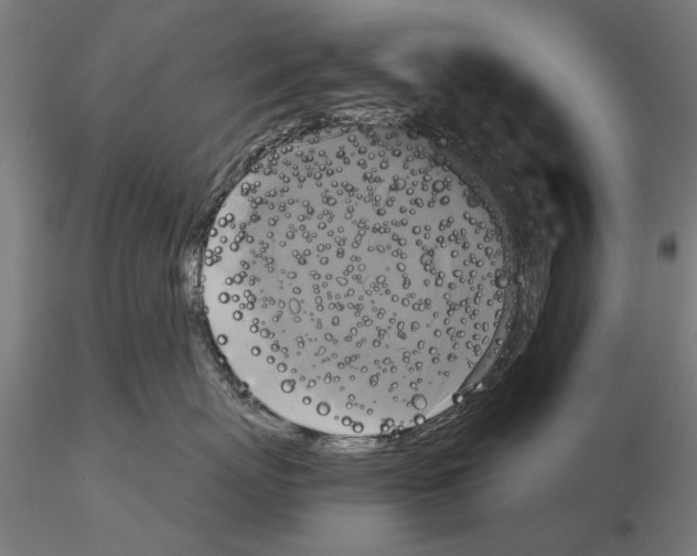 X0000114640767200912011048