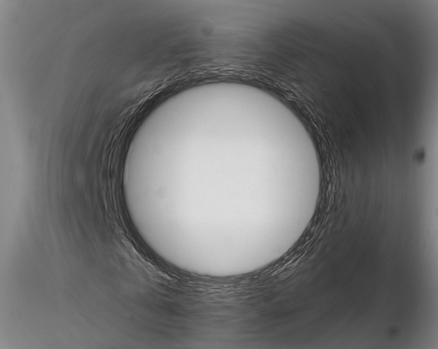 X0000114640769200912011048