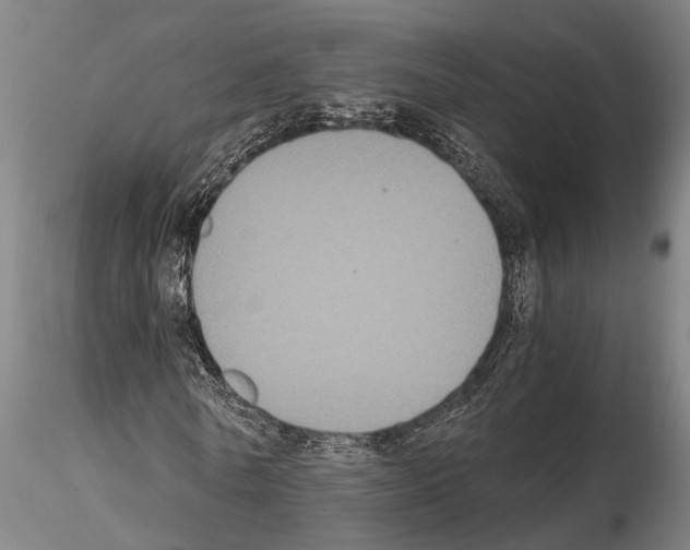 X0000114640770200912011048