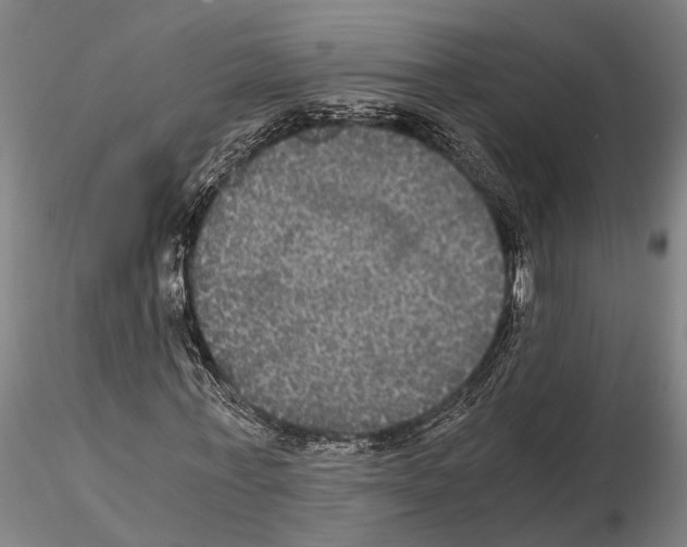 X0000114640771200912011048