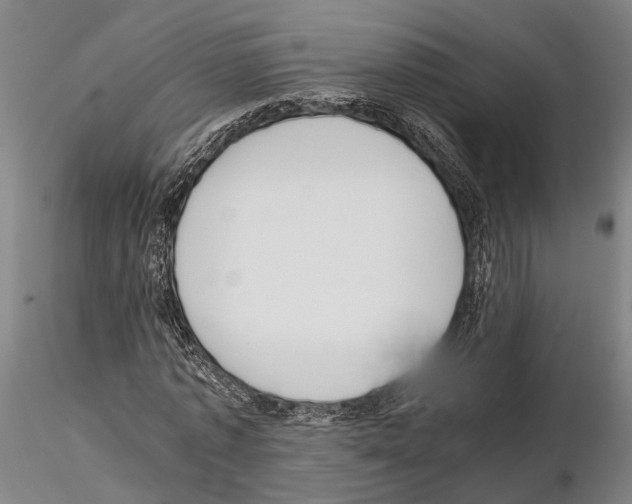 X0000114640773200912011048