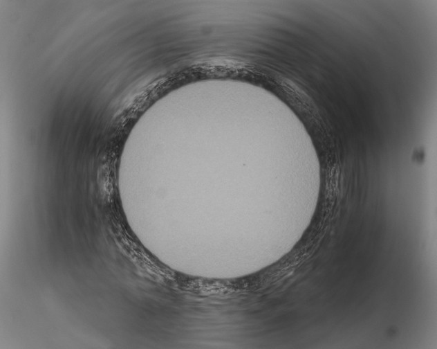 X0000114640774200912011048