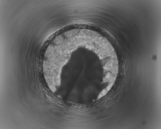 X0000114640775200912011048