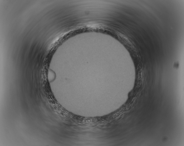 X0000114640776200912011048