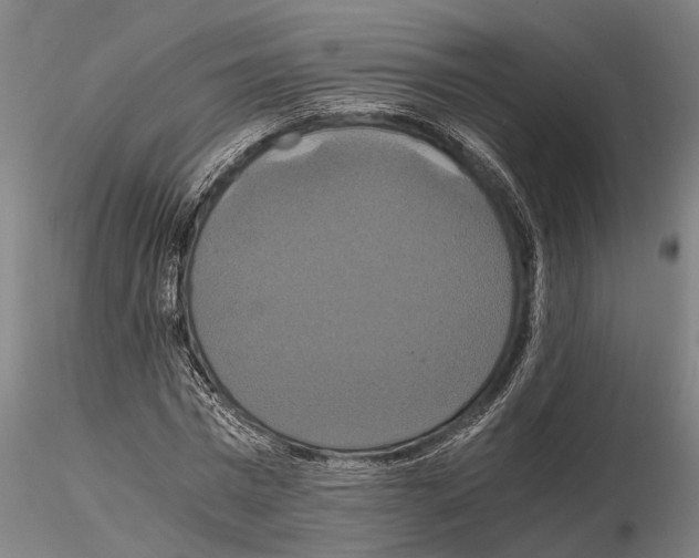 X0000114640777200912011048