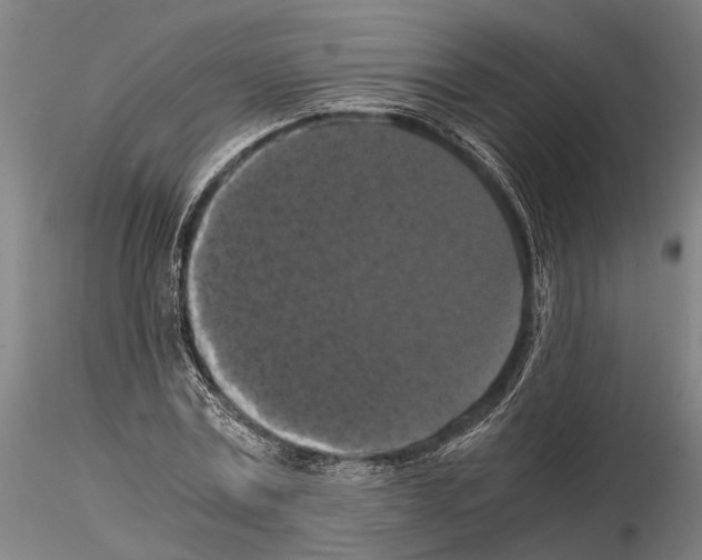 X0000114640779200912011047