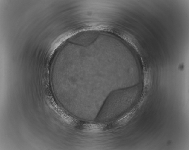 X0000114640781200912011047