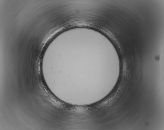 X0000114640782200912011047