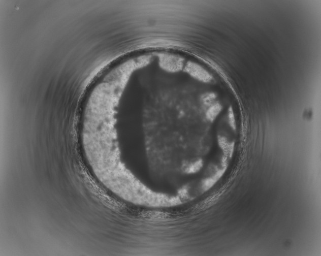 X0000114640783200912011047