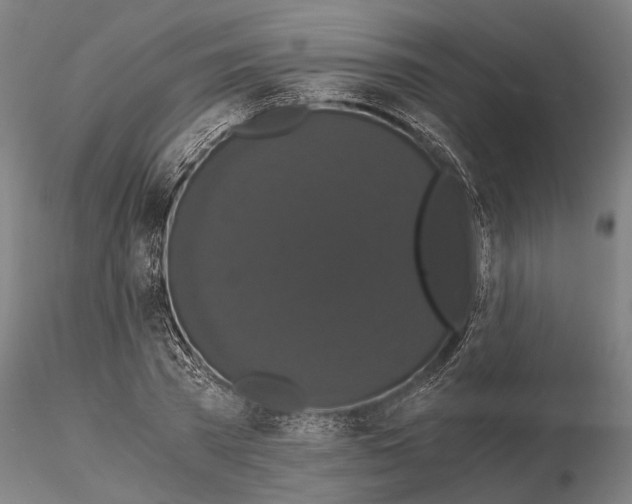 X0000114640785200912011047