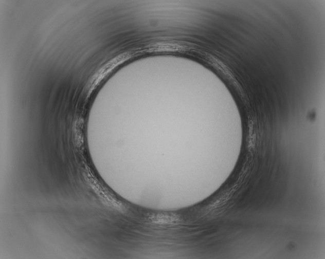 X0000114640786200912011047