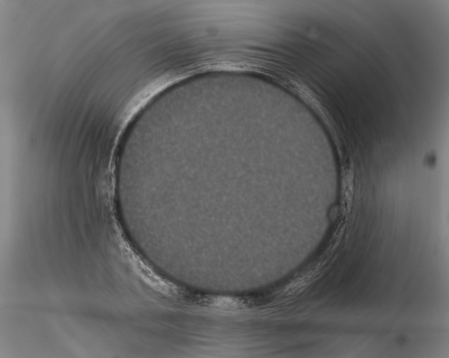 X0000114640787200912011047