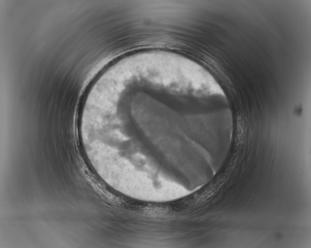 X0000114640788200912011047