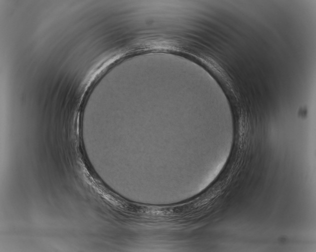 X0000114640790200912011047