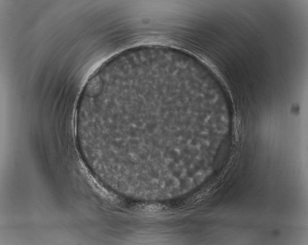 X0000114640791200912011047