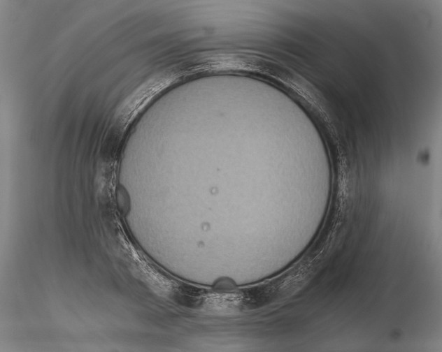 X0000114640793200912011047